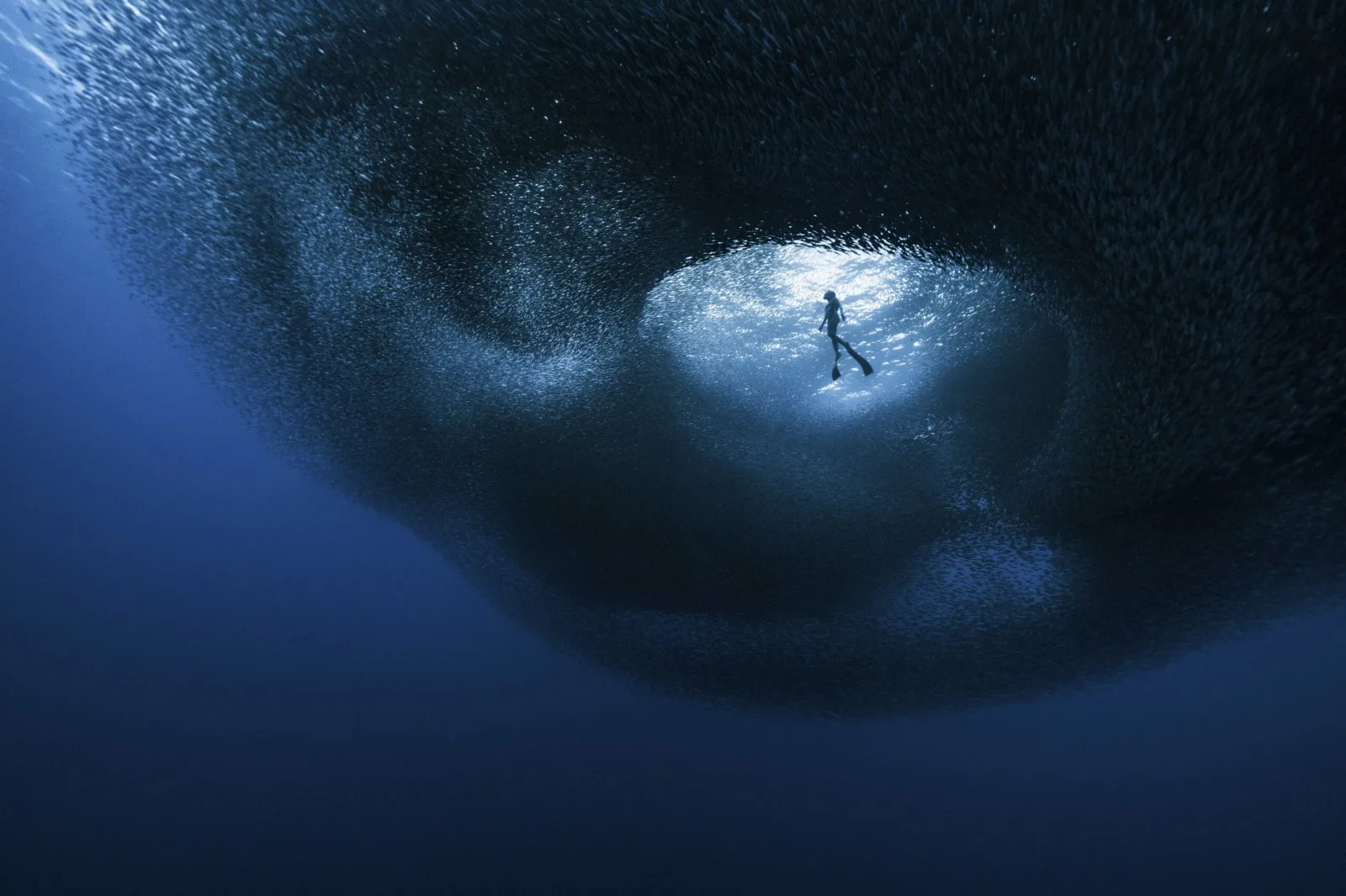 Finalistas de Ocean Photographer of the Year: lo sublime y lo doloroso del mar